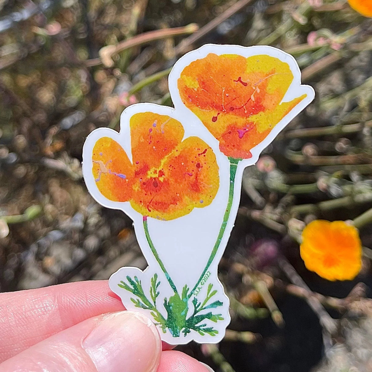 Splatter Paint Poppies Vinyl Sticker